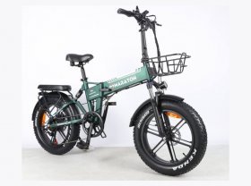 Maraton Trigo Eltctric bike green