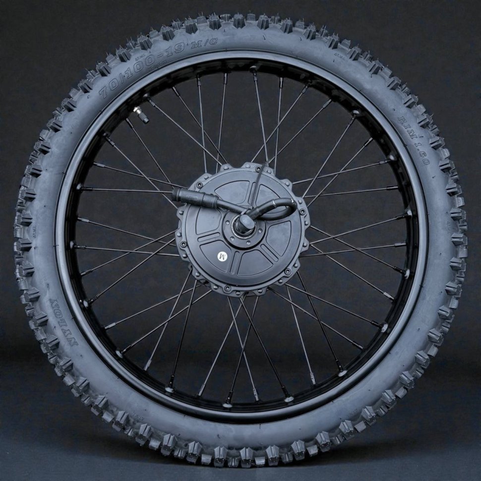 GT2000 Hub Motor with Wheel